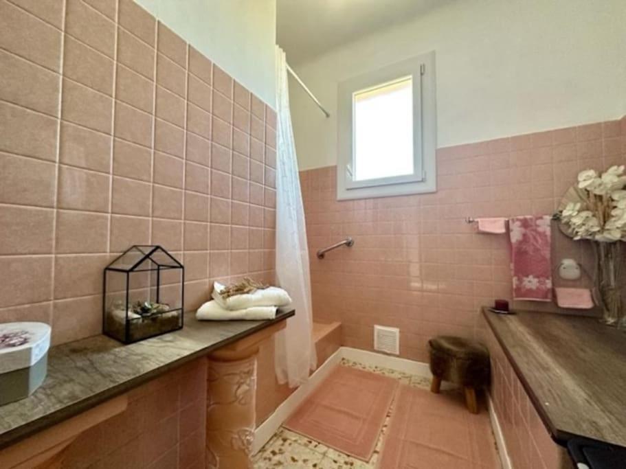 סן-לורן-דה-לה-סלאנק Appartement St Laurent מראה חיצוני תמונה